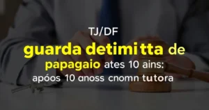 TJ/DF concede guarda definitiva de papagaio após 10 anos com tutora